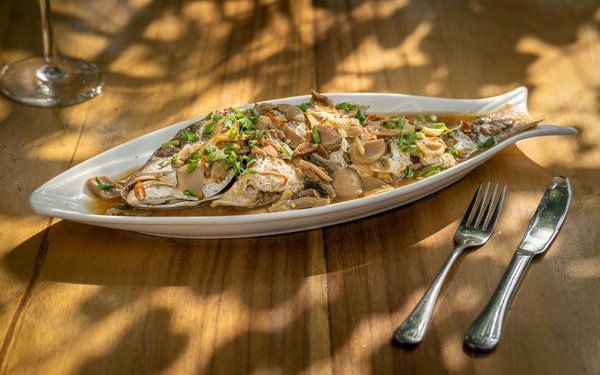 Record Payouts At Online Casinos ✨ across Canada   🔮