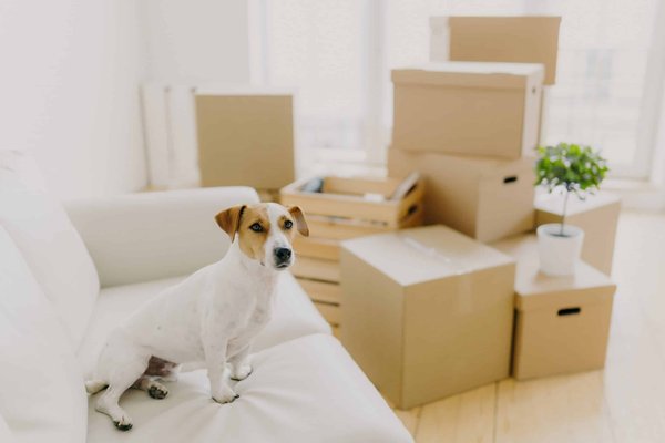 How Can You Create a Cozy and Reflective Journaling Spot in Your Home?