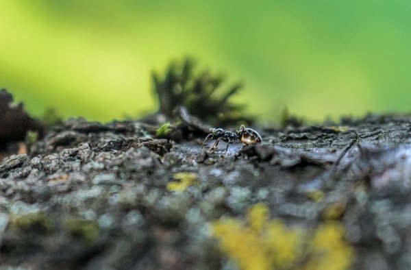 What Are the Best Decorative Strategies for Hiding a Home Safe in Plain Sight?